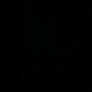 Meet your Posher, Jaylene